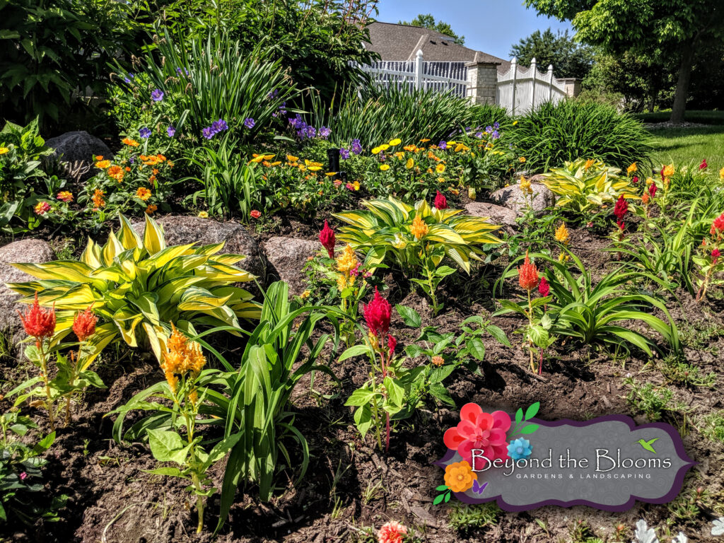 Beyond the Blooms Garden & Landscapes
